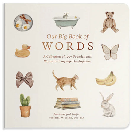 Cover of 'Our Big Book of First Words' featuring charming illustrations of foundational vocabulary including a teddy bear, duck, and various objects. Perfect for children's language development as part of the Books collection.