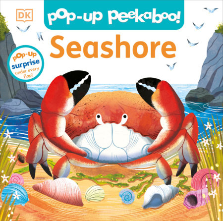 Pop Up Peekaboo! Seashore