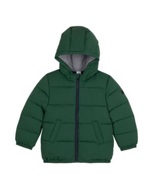 Green Hooded Puffer