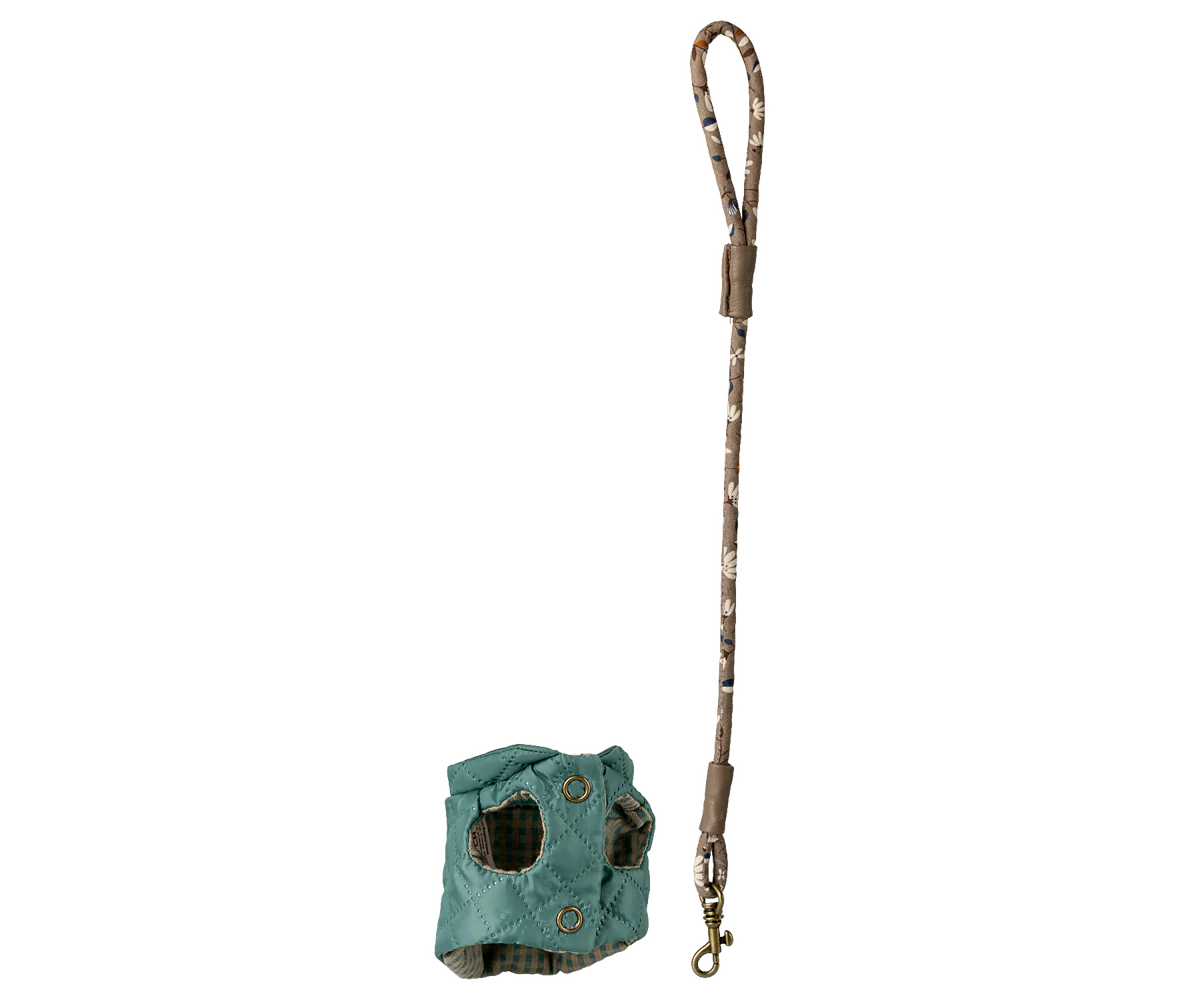 Pet Supply, Harness and Leash- Dark Mint