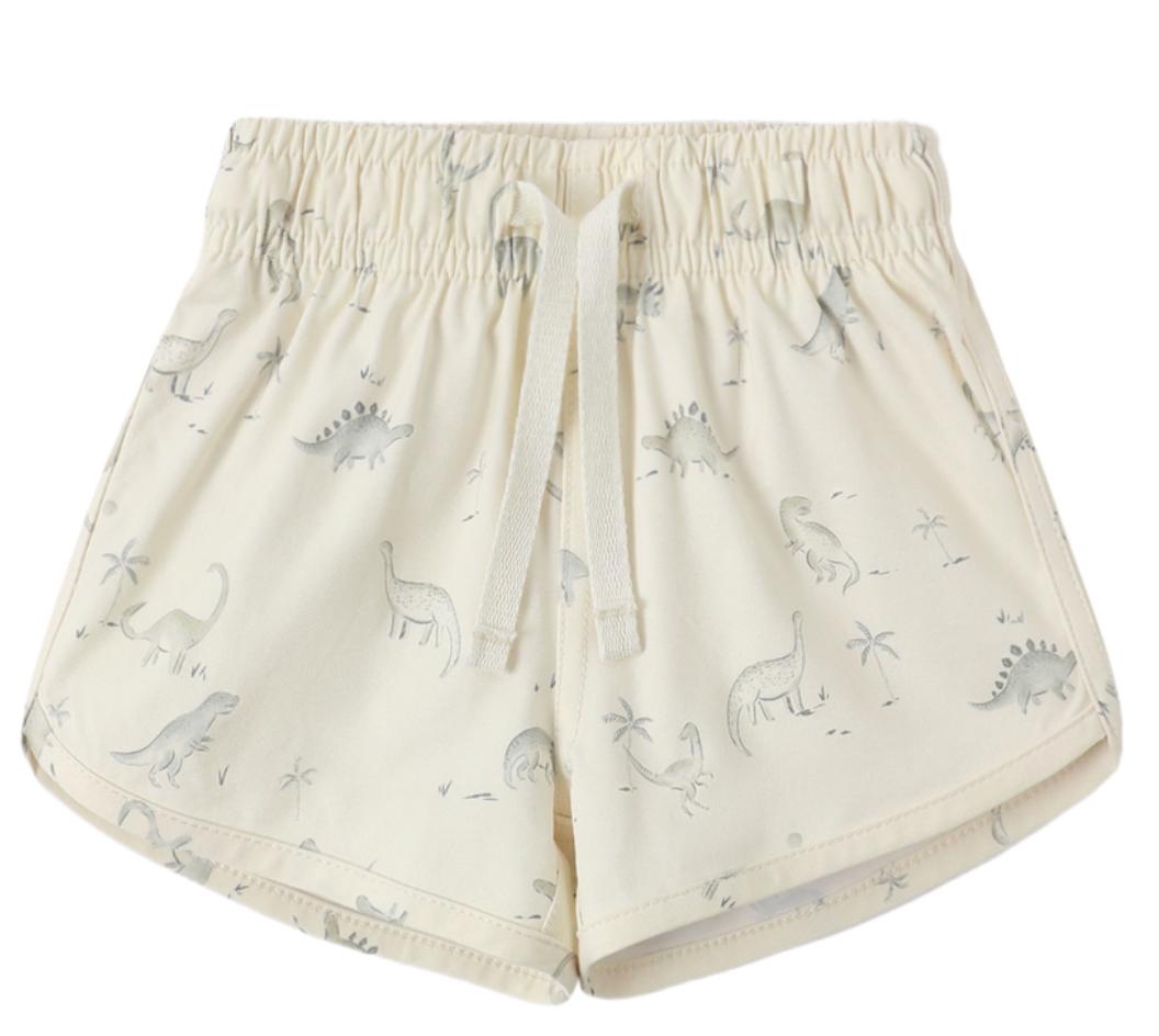 Boys Swim Short Dinosaur