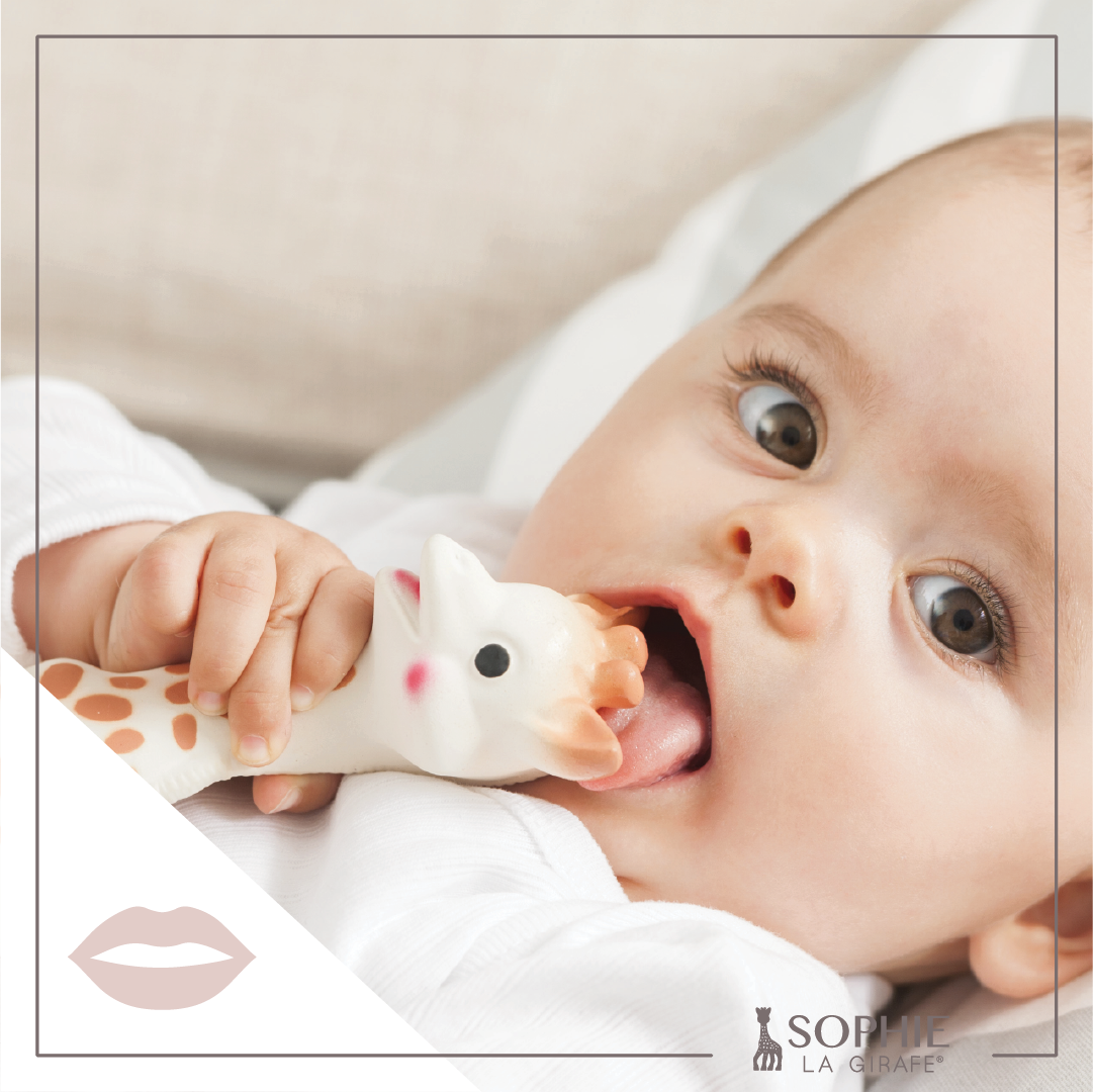 Sophie La Girafe White Box- Classic