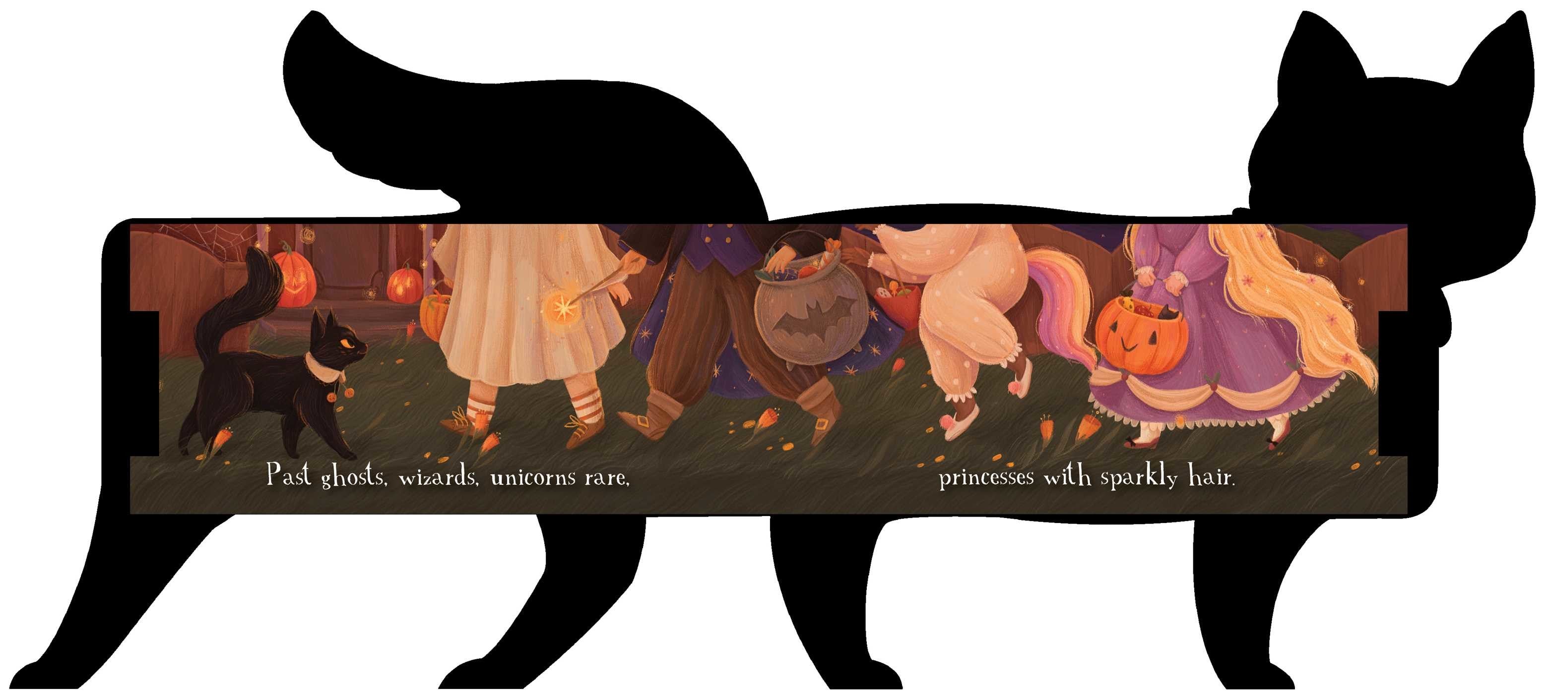 One Black Cat