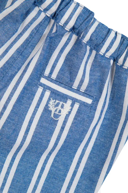 Blue and White Striped Shorts