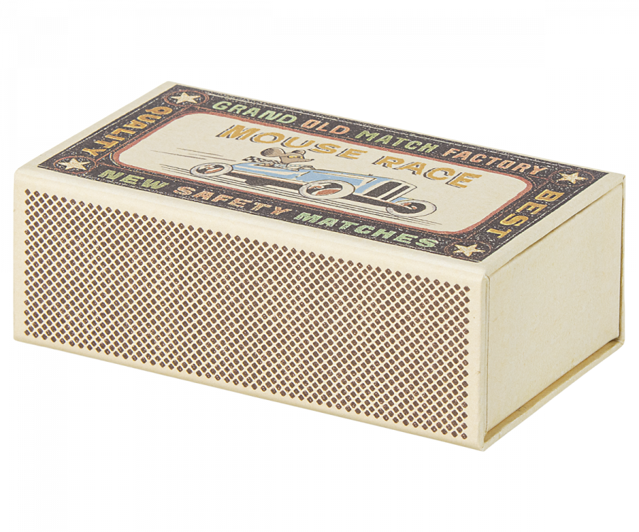 Big brother mouse in matchbox