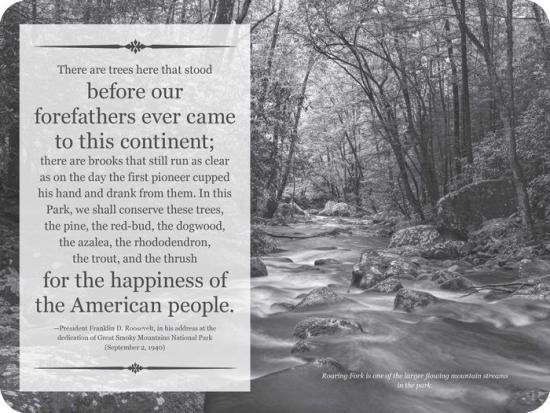 Great Smoky Mountains National Park Signature Edition