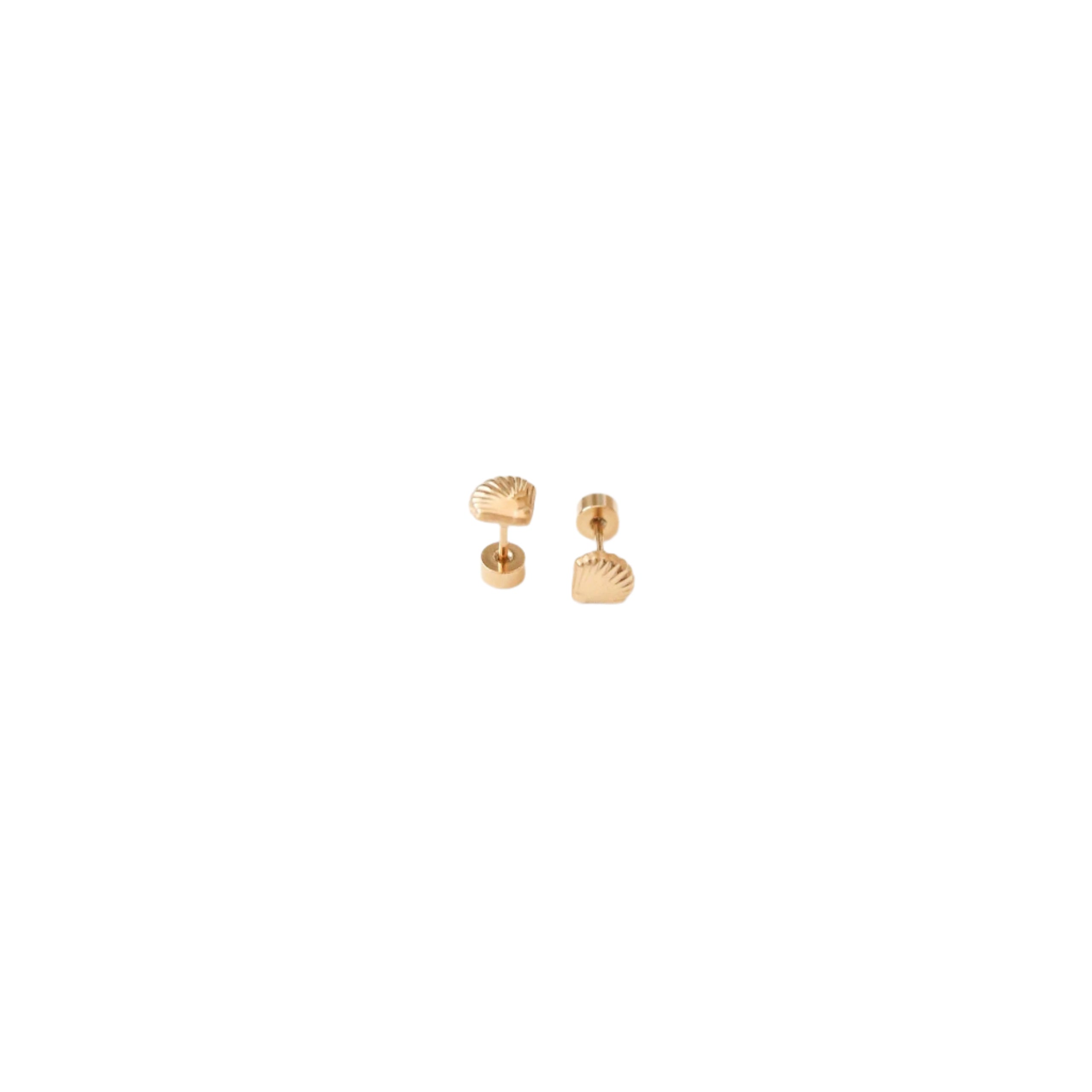 Seashell Earrings