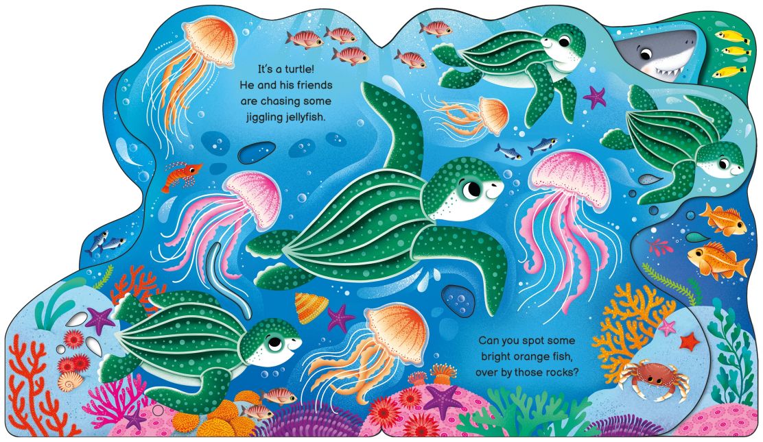 Who's in the Ocean Today?