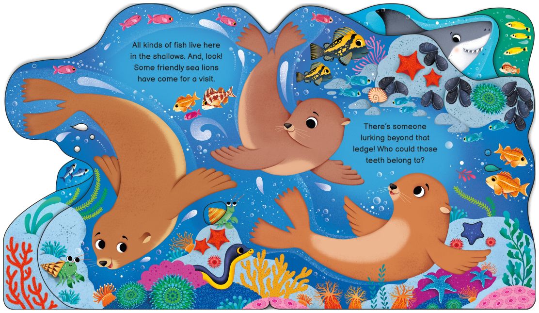 Who's in the Ocean Today?