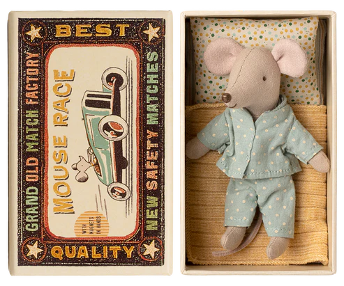 Little brother mouse in matchbox