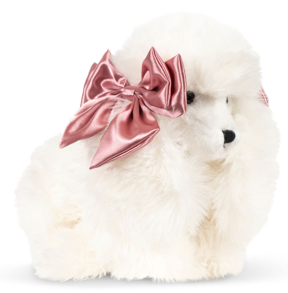 SPITZ PUPPY