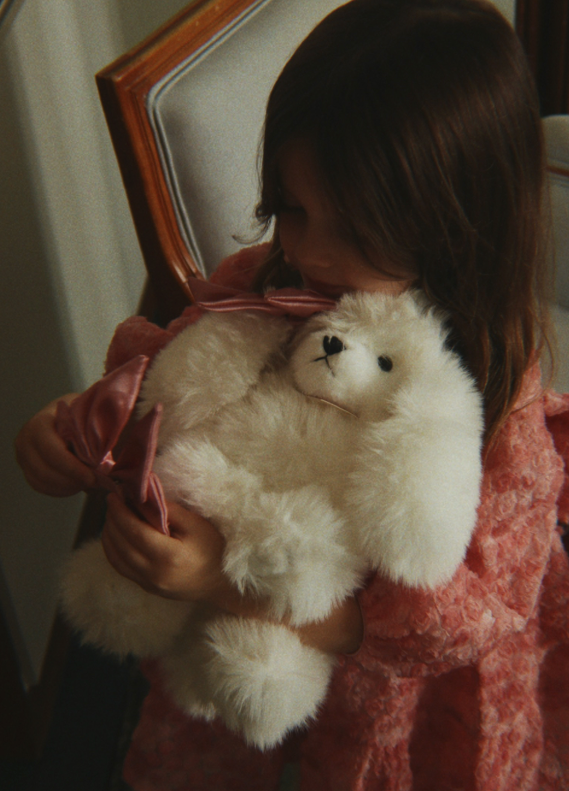 SPITZ PUPPY