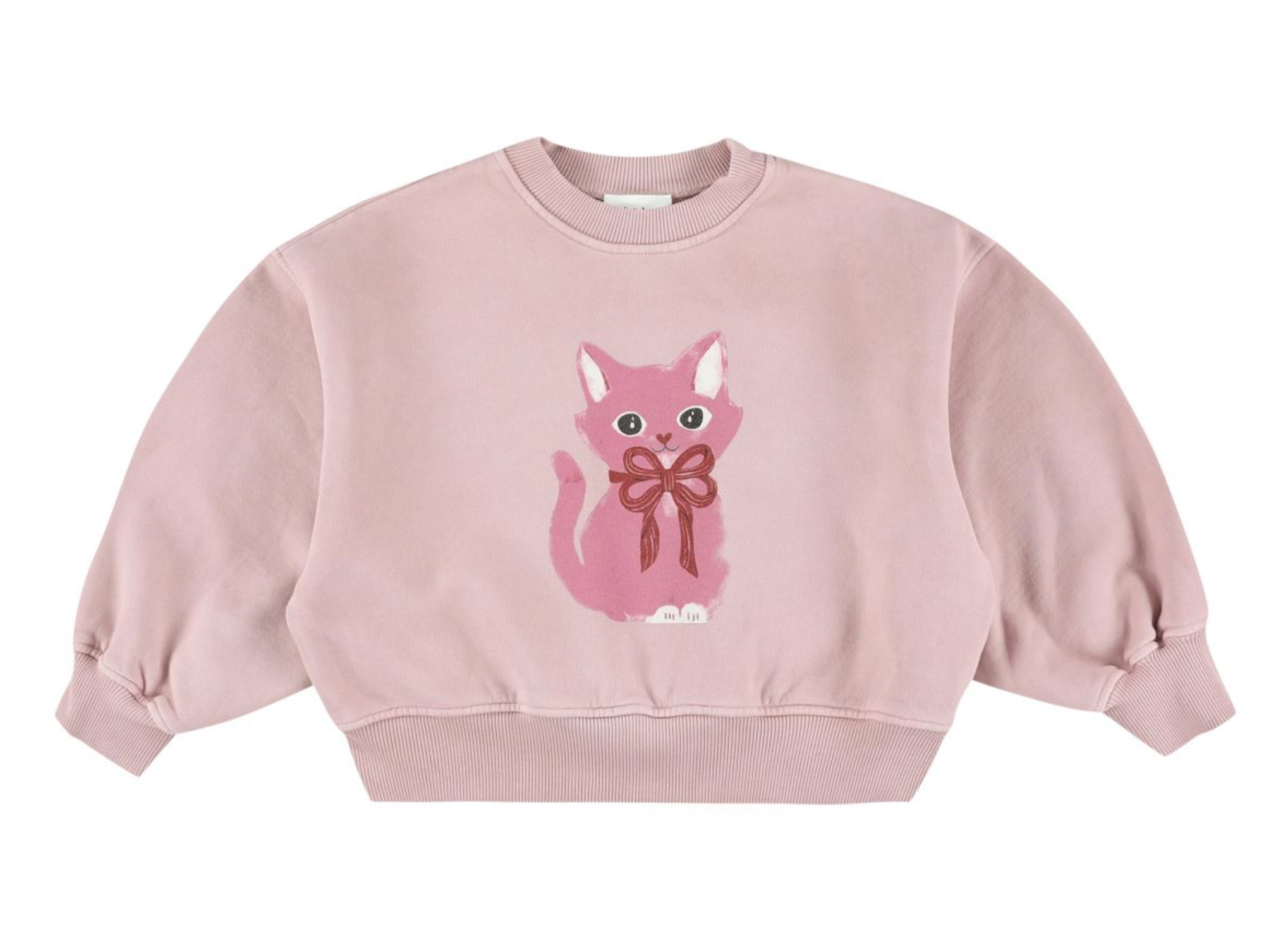 Zyco LS Sweatshirt Pink Cat Print Lilac F26