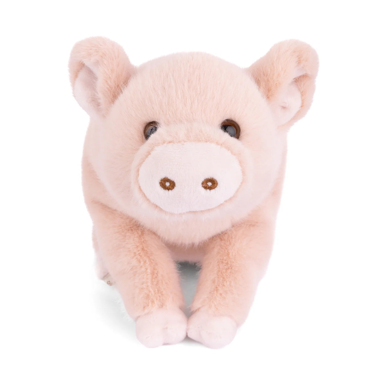 Plush pig toy on a white background
