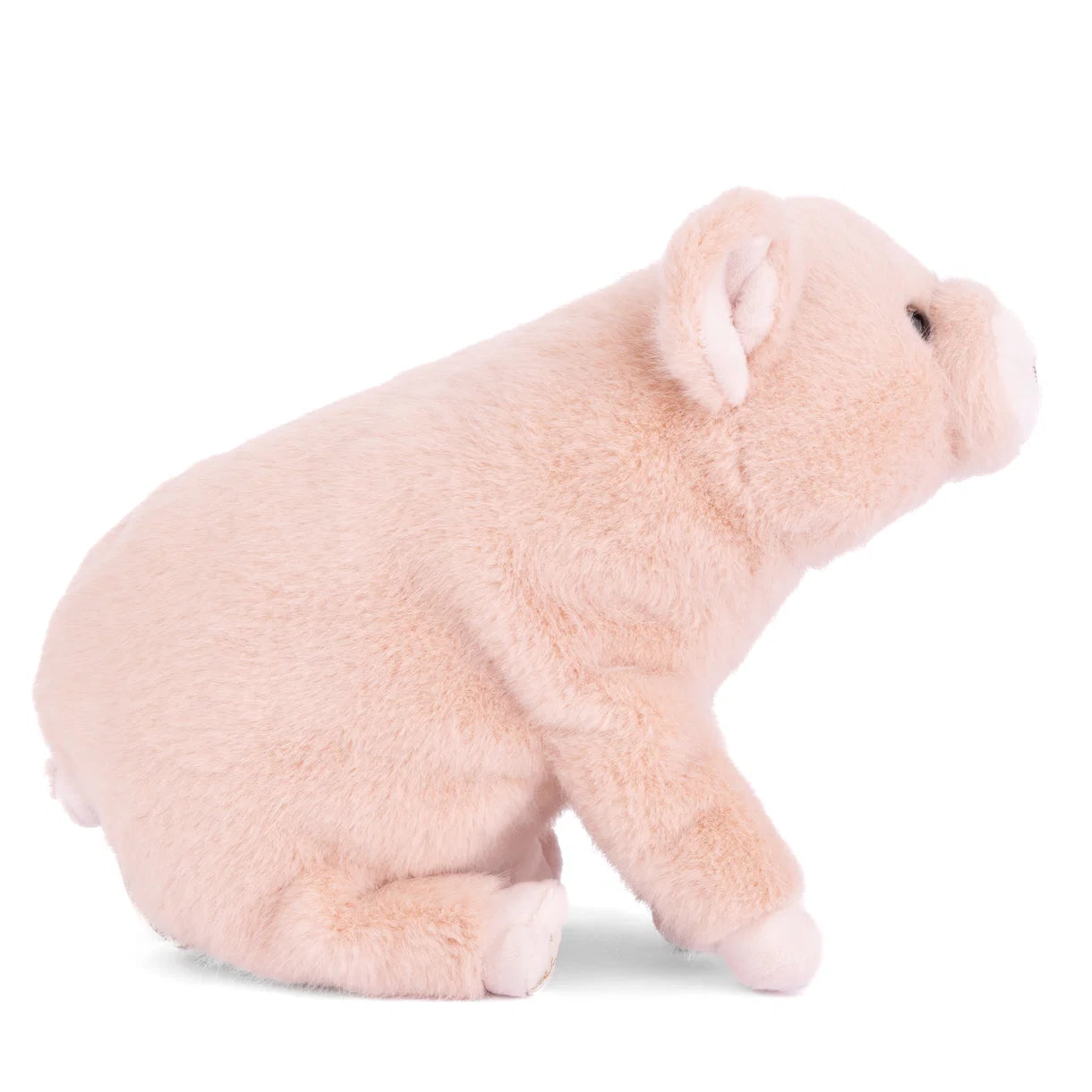 Plush toy pig on a white background