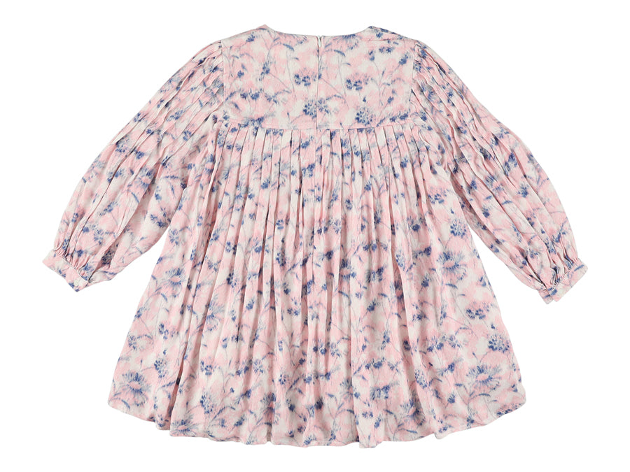 Yndia Dress with Pleats in Rose Print