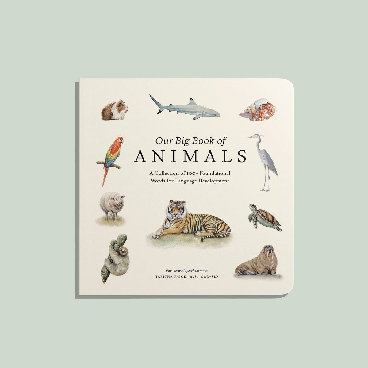 Our Big Book of Animals (Board Book)