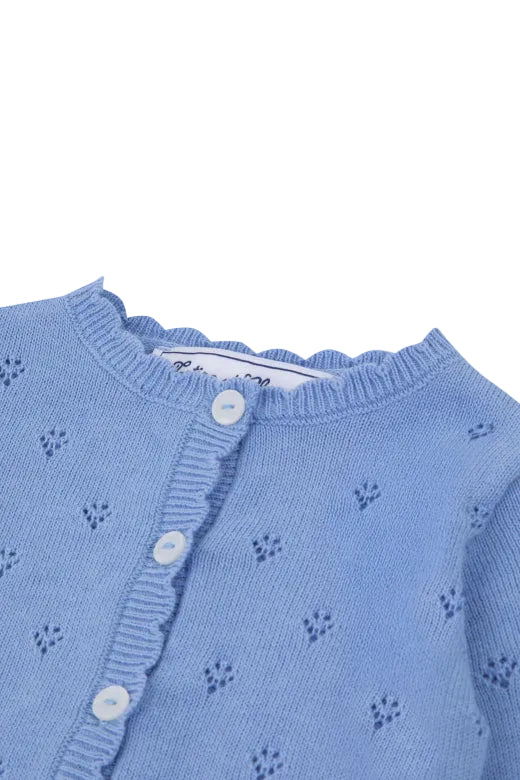 Blue Cardigan