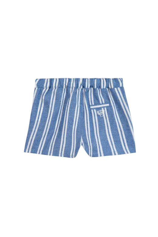 Blue and White Striped Shorts