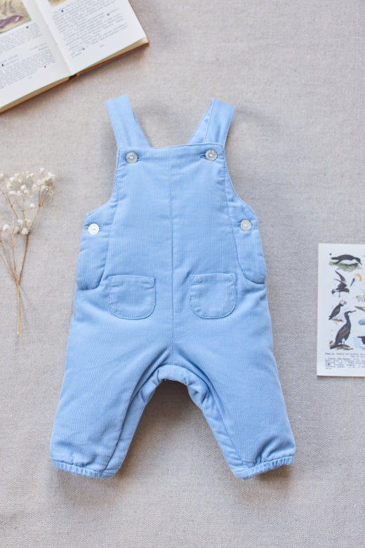 Fine Corduroy Overalls Sky Blue F26