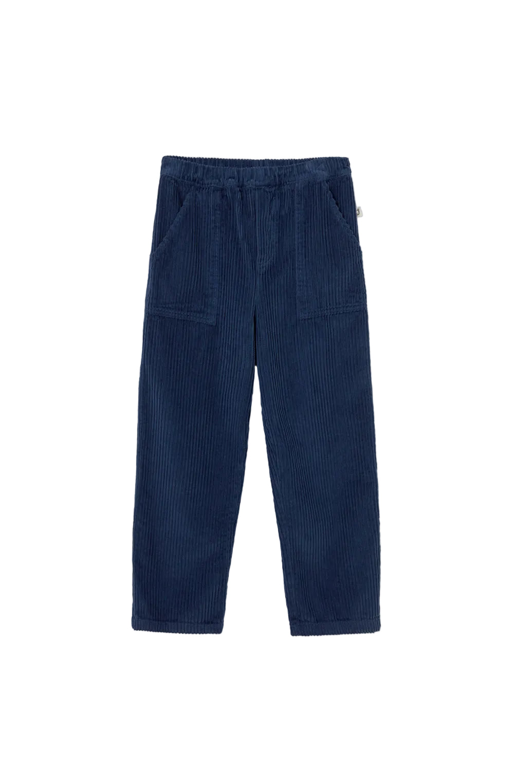 Wide Wale Corduroy Pants Navy F26