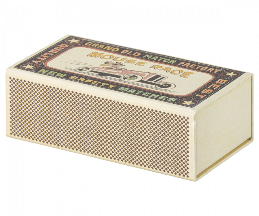 Big sister mouse in matchbox